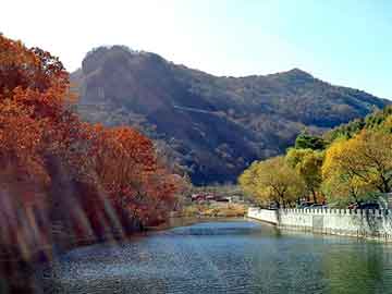 新澳天天开奖资料大全旅游团，阳春seo程序